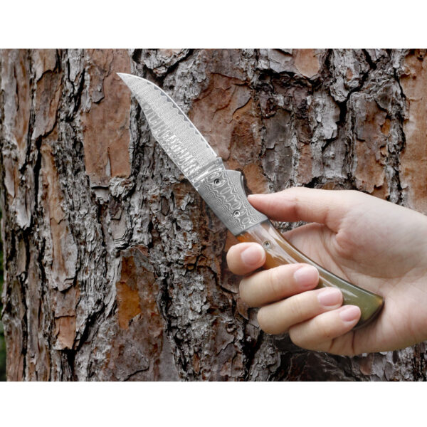 Pocket Knife - Image 4