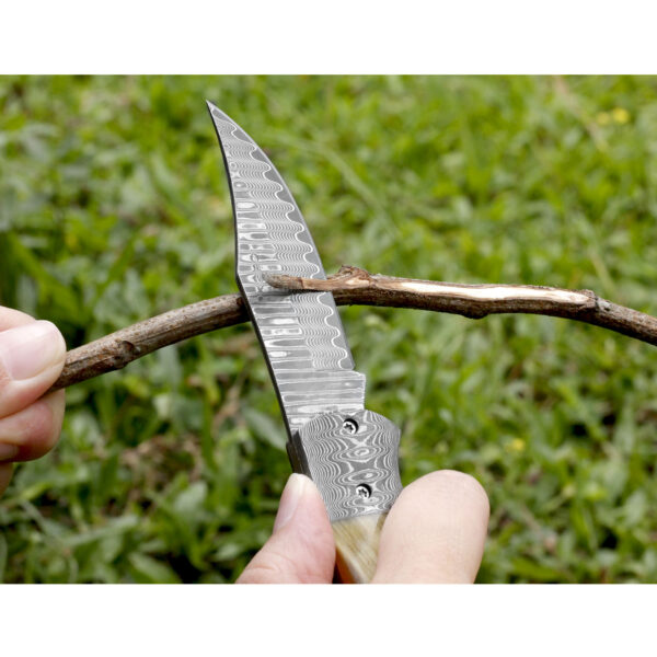 Pocket Knife - Image 5