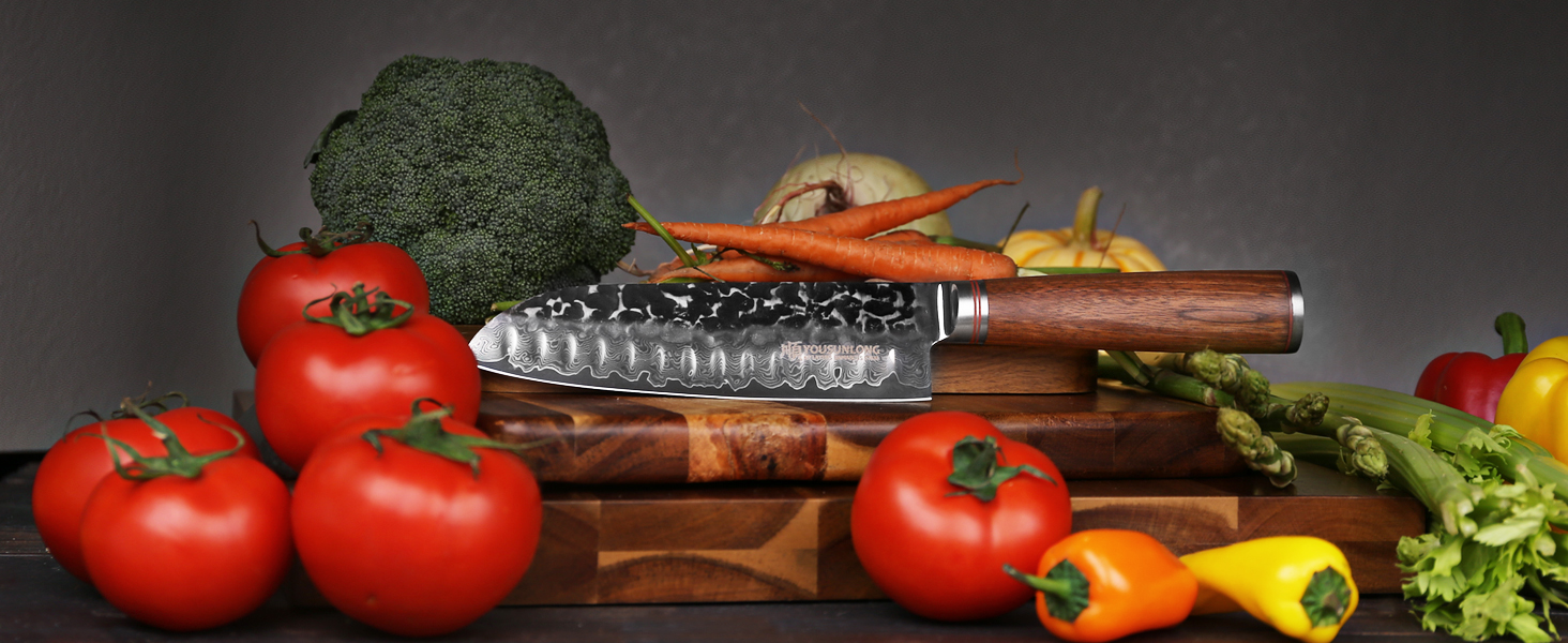 A Versatile Powerhouse in Your Kitchen: Santoku Knife