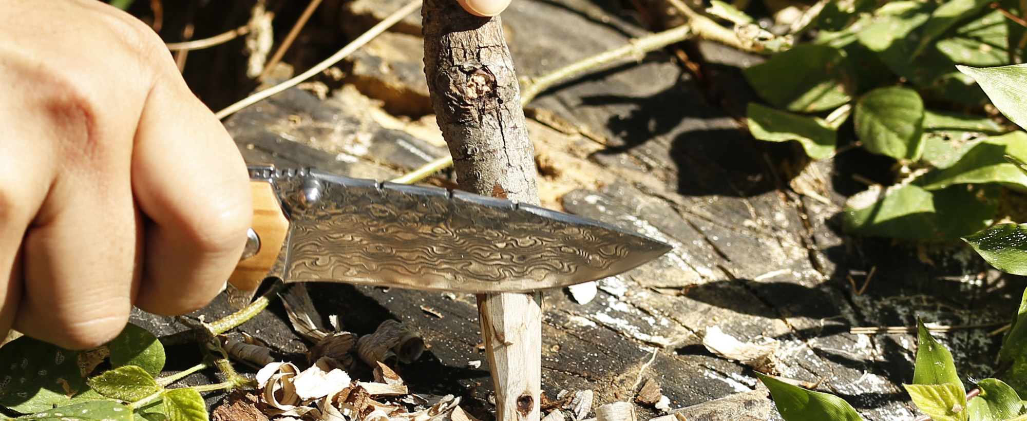 A Sunlit Hike with Olive Wood Folding Knives