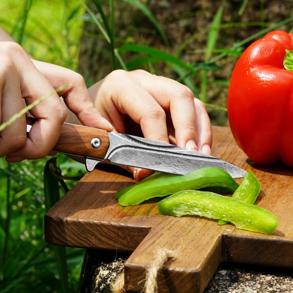 Folding Knife - Italian Olive Wood Cover - Image 6