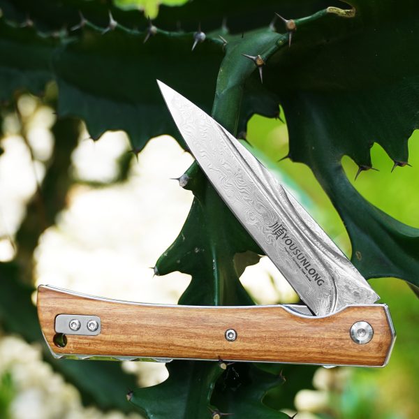 Folding Knife - Italian Olive Wood Cover - Image 7